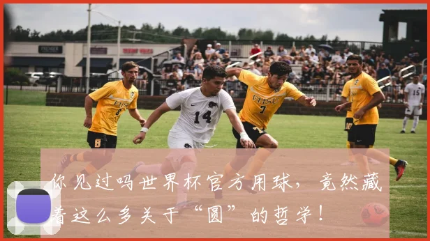 你见过吗世界杯官方用球，竟然藏着这么多关于“圆”的哲学！
